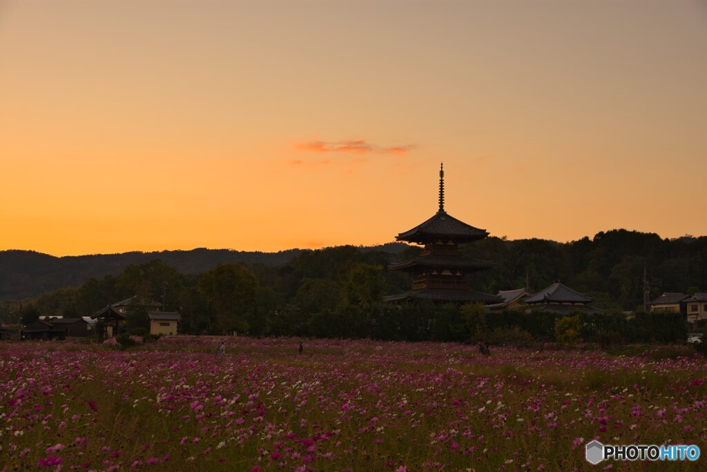 いつかの秋～～法起寺