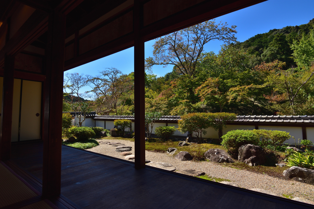 菩提山の初秋②