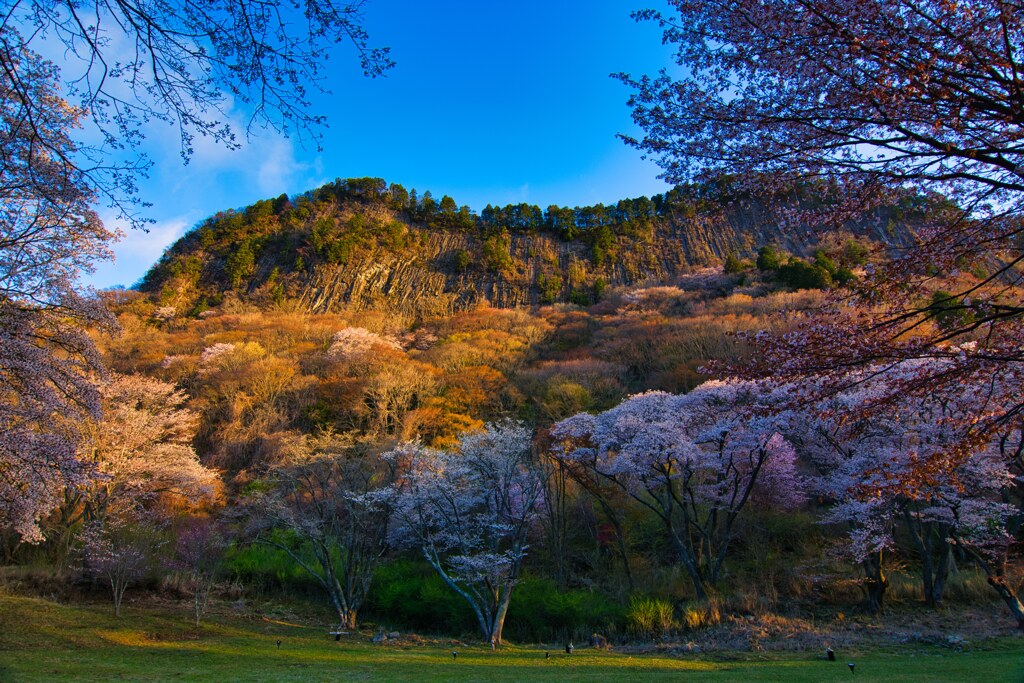 満開　屏風岩の春　壱