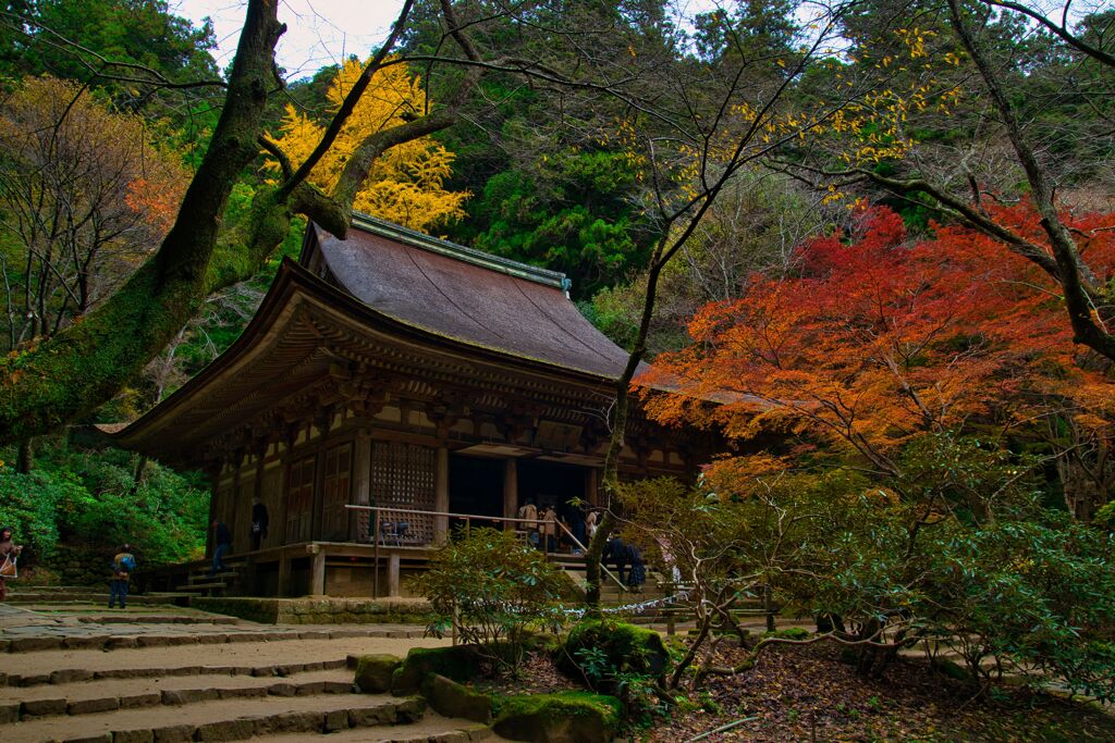 深まる秋・・・室生寺