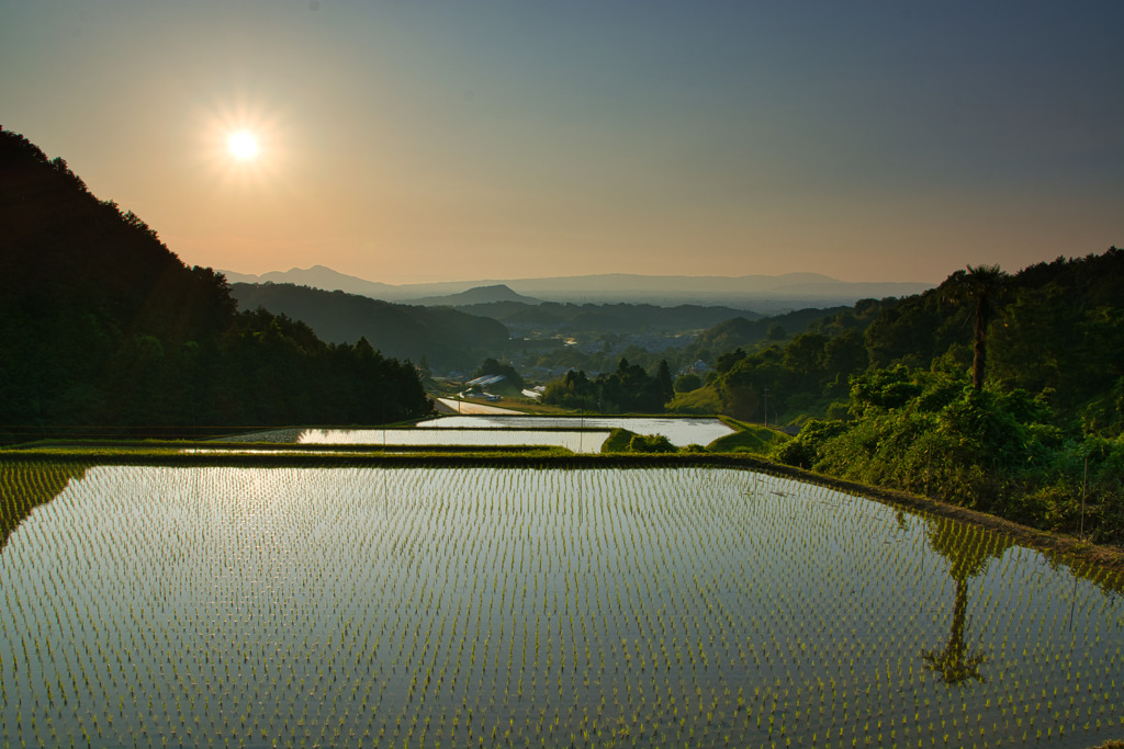 夕暮れの阪田　壱