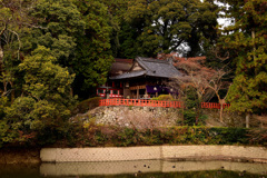 高鴨神社　本殿