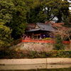高鴨神社　本殿