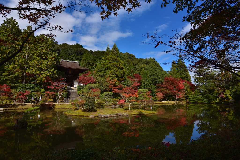 庭園からの眺め①
