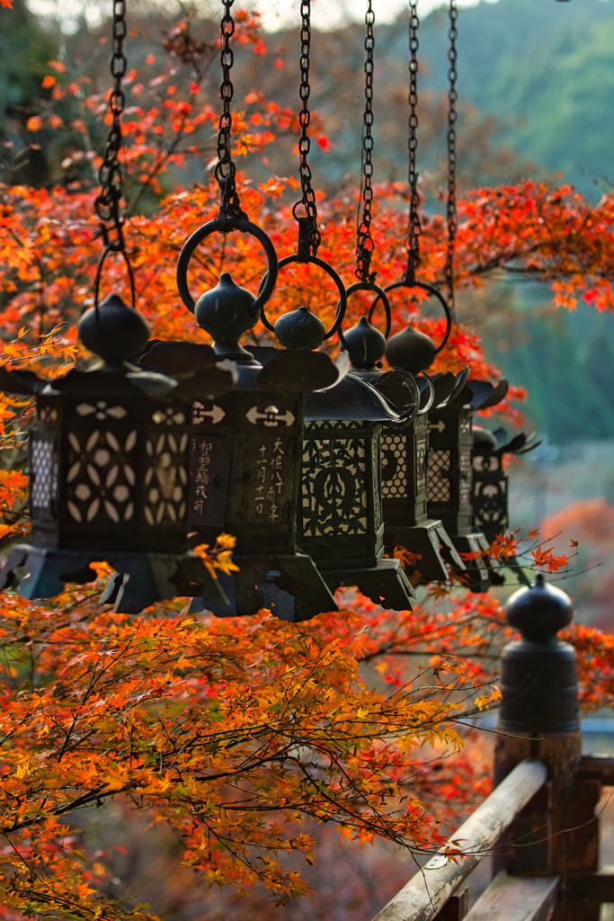 錦秋～談山神社～拝殿　其の参