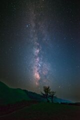 真夏の夜に・・