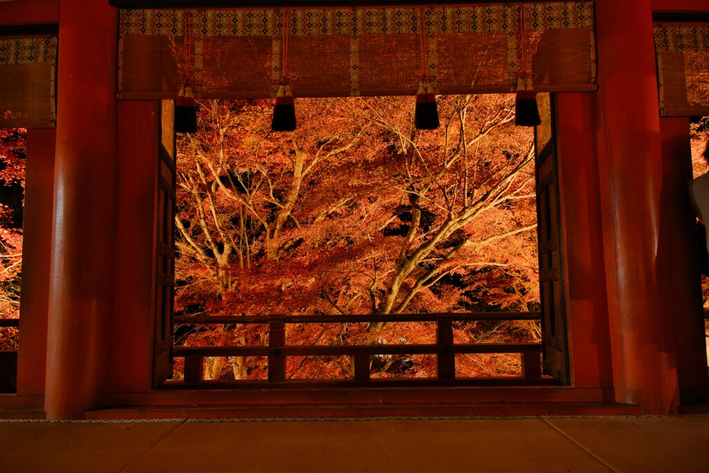 錦秋の拝殿　肆