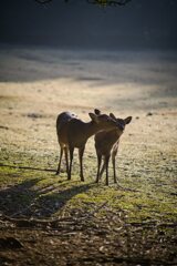 抑えきれない気持ち