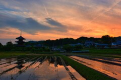 斑鳩の郷　陽沈む・・・法起寺　四