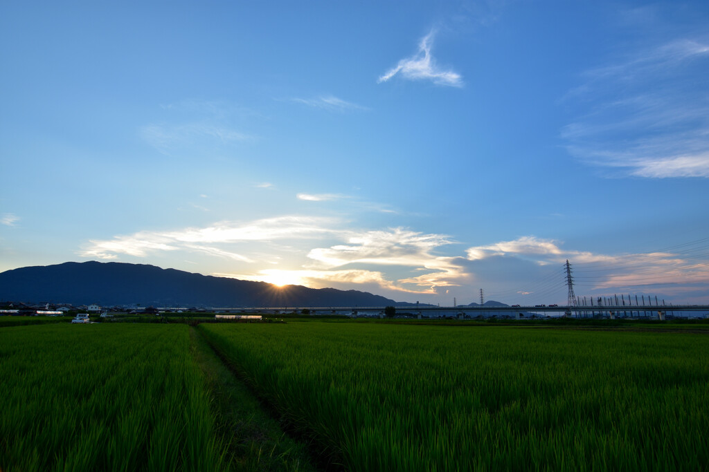 夏の終わり