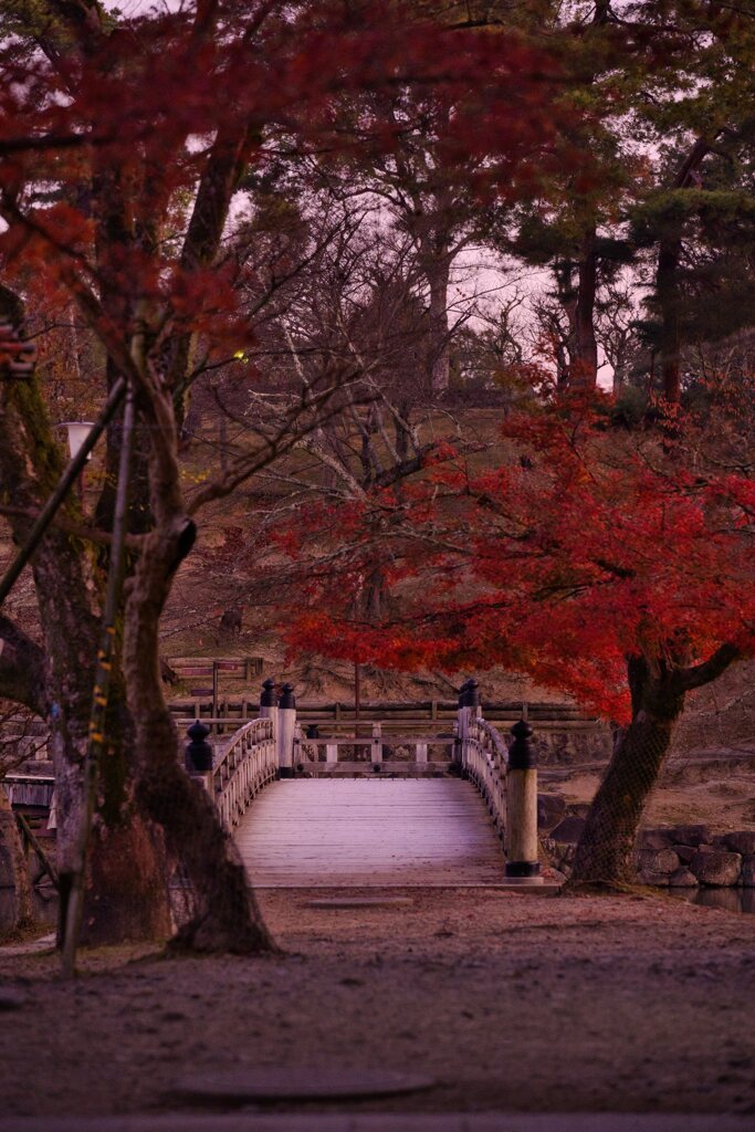 名残・・　其の壱