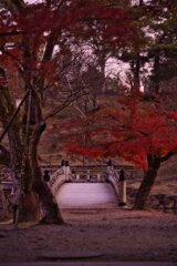 名残・・　其の壱