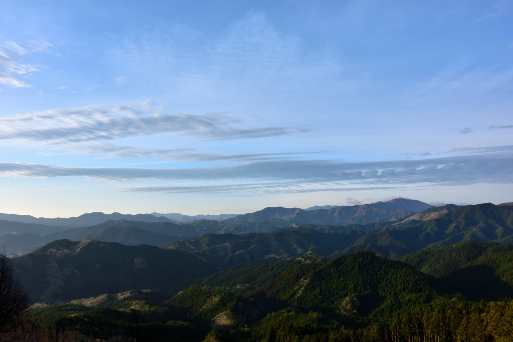 朝陽を浴びて