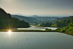 水面の夕陽