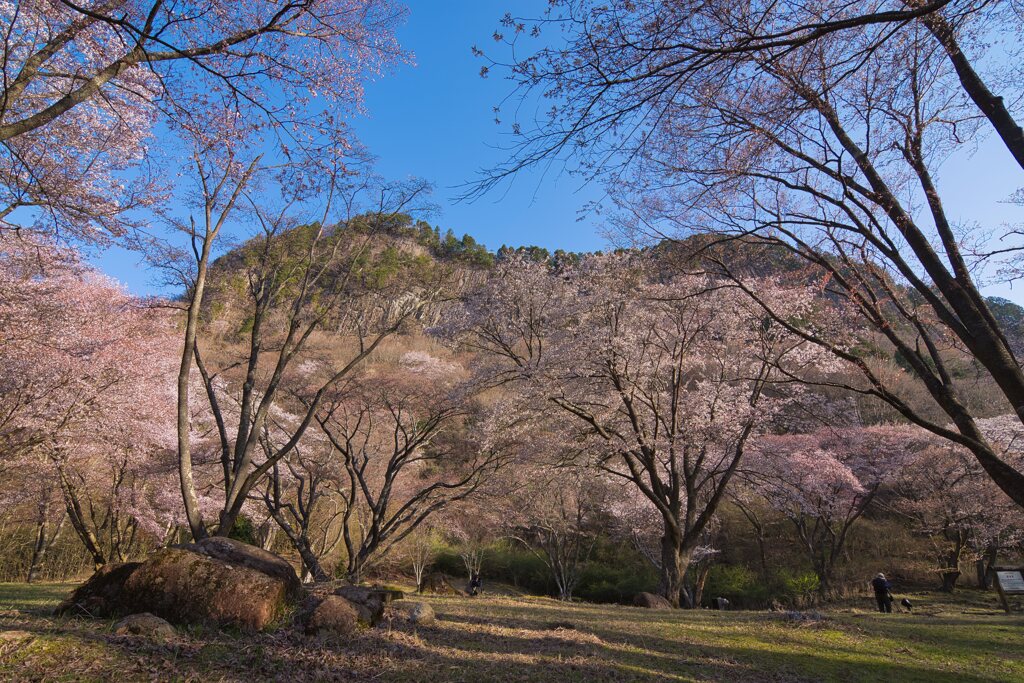 雄大～屏風岩