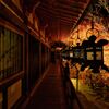 24錦秋～黄金の輝き～拝殿
