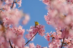 最高の居場所