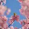 最高の居場所
