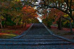 石段を彩る～東大寺