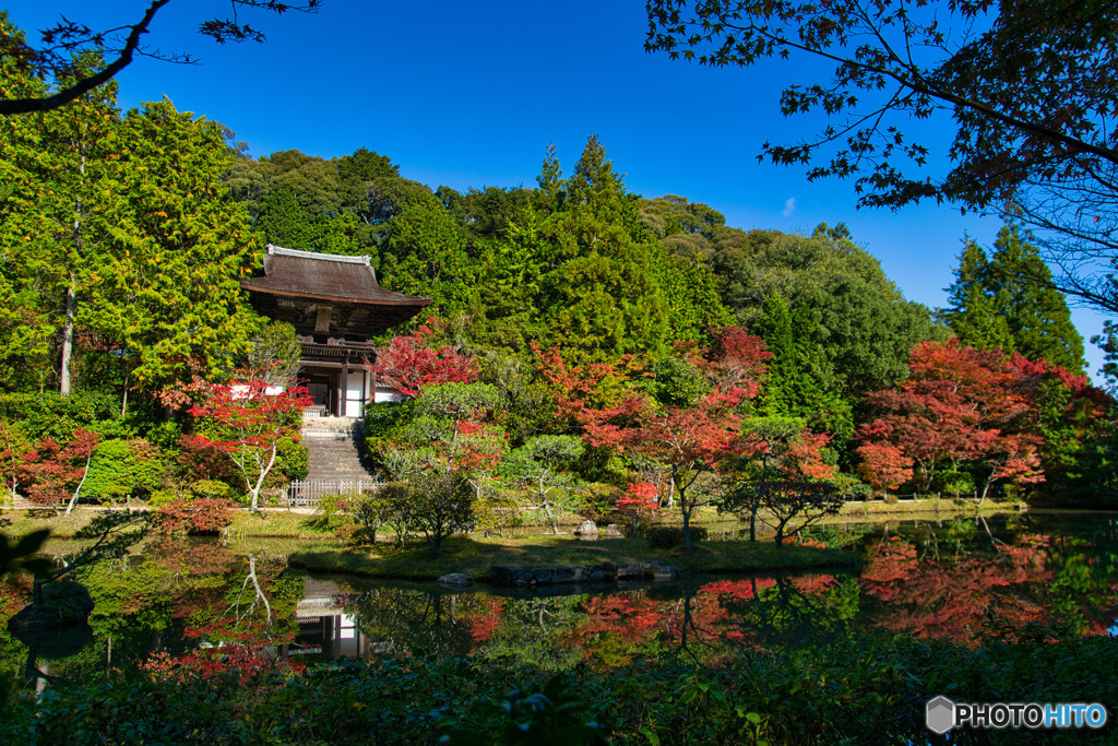 季節は進んで・・・紅葉
