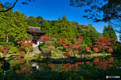 季節は進んで・・・紅葉