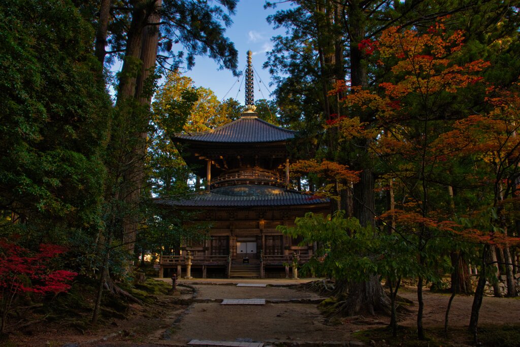 秋の西塔～壇上伽藍