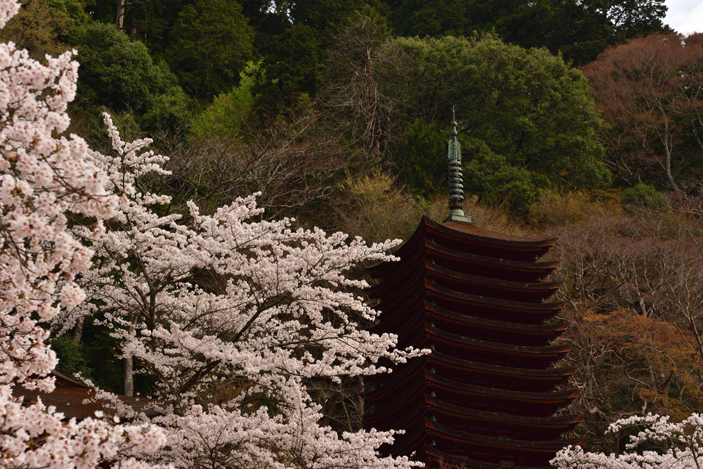 春の談山神社①