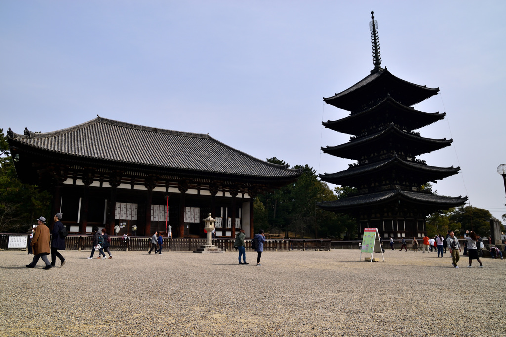 奈良のシンボル・・・興福寺