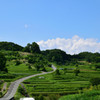 稲渕の初夏　弐