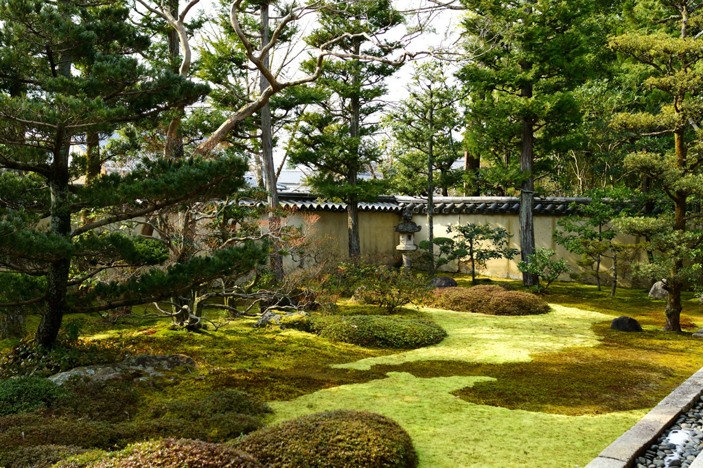大雄院　書院前の庭園②