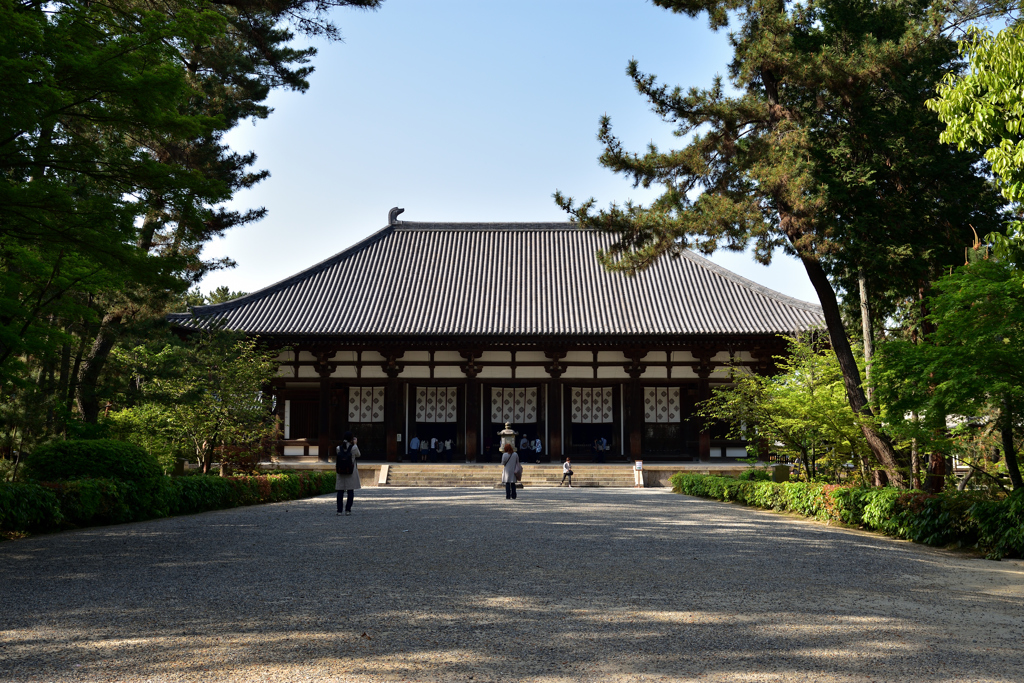 唐招提寺　金堂②