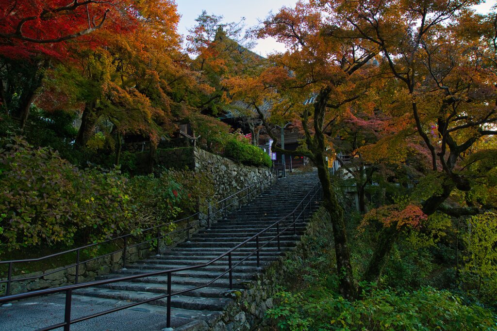 深まる秋～染まる長谷寺　壱