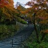 深まる秋～染まる長谷寺　壱
