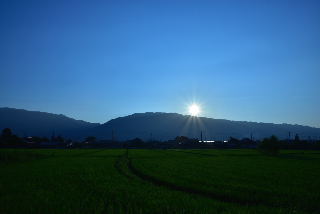 青空の下で