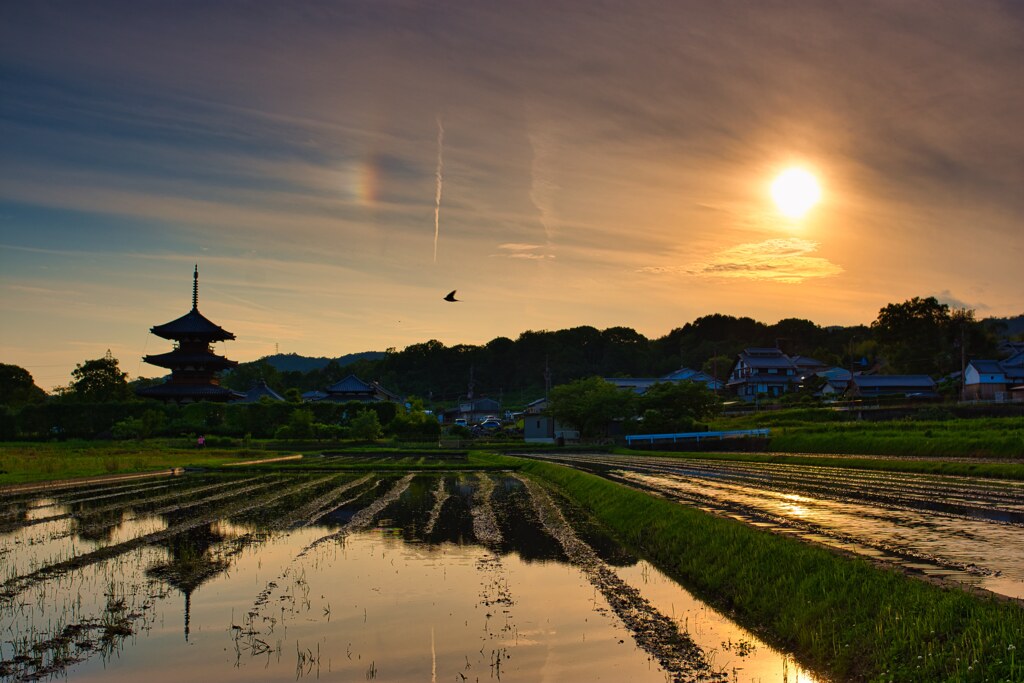 斑鳩の郷　陽沈む・・・法起寺　参