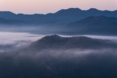 雲海の下で・・・咲く