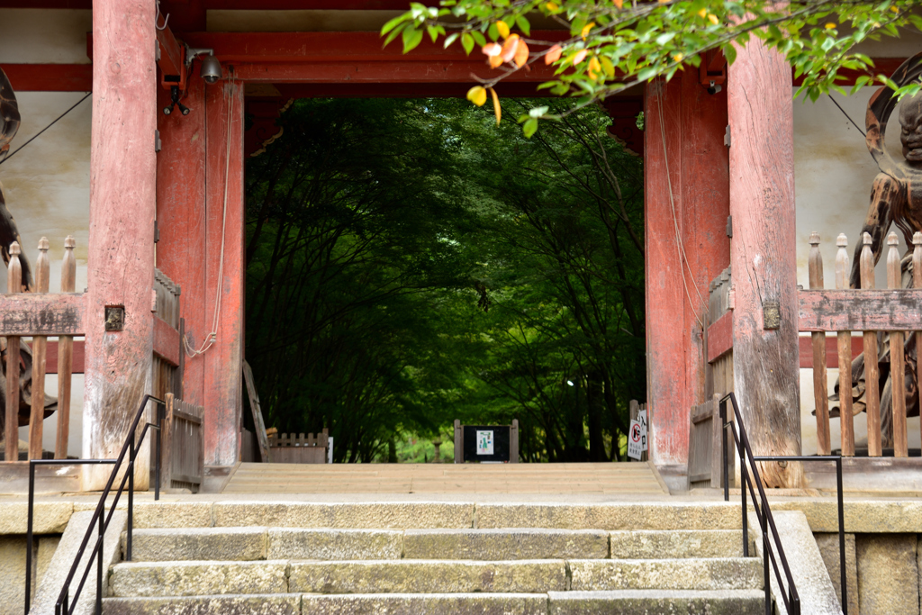 トンネルの入り口