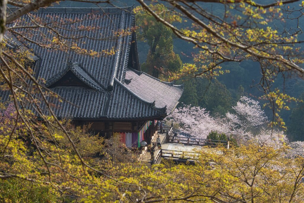 春の花の御寺～長谷寺　其の玖