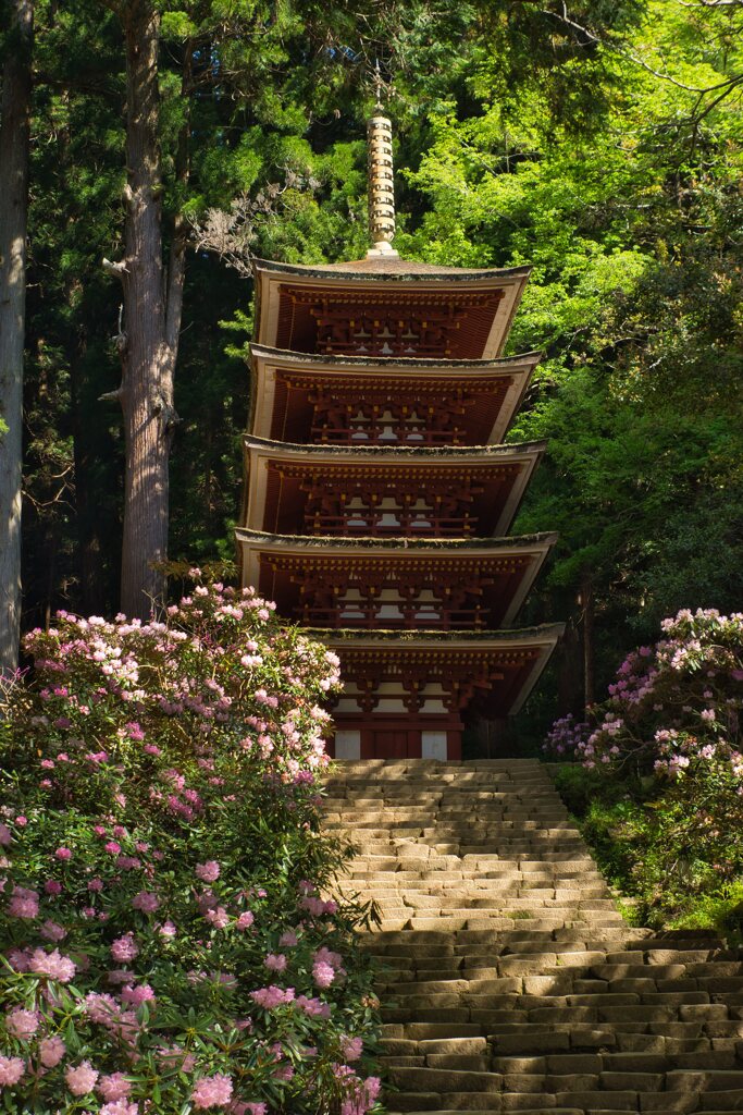 花道の先に・・国宝