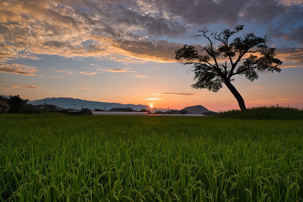 晩夏～夕暮れの古宮