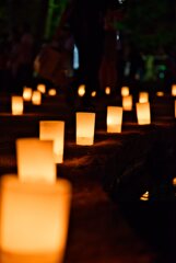 なら燈花会2025～国立博物館
