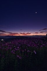 薄明を迎える～天空の楽園
