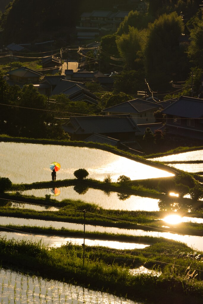 2020~細川の夕景　〈弐〉
