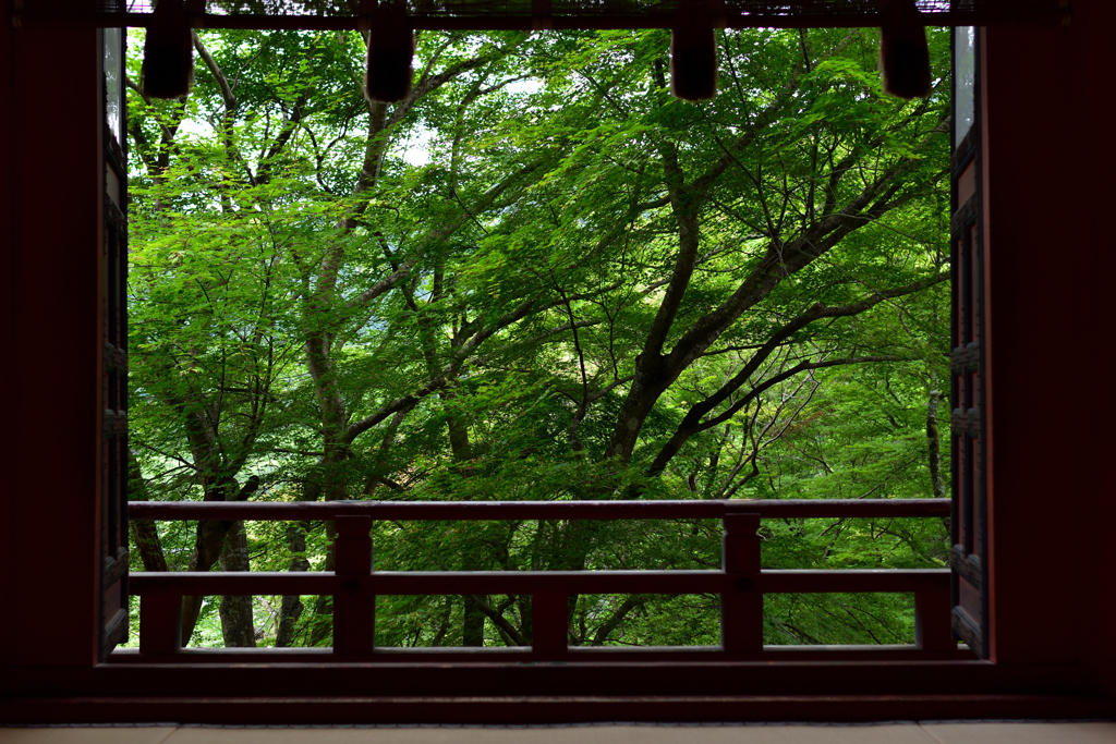 深緑の拝殿