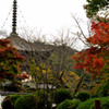 re根来寺　秋の思い出