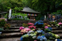 開山堂を見上げて～長谷寺