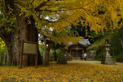 紅葉の長谷寺　番外～素盞雄神社