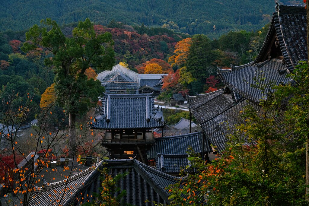 錦秋の花の御寺