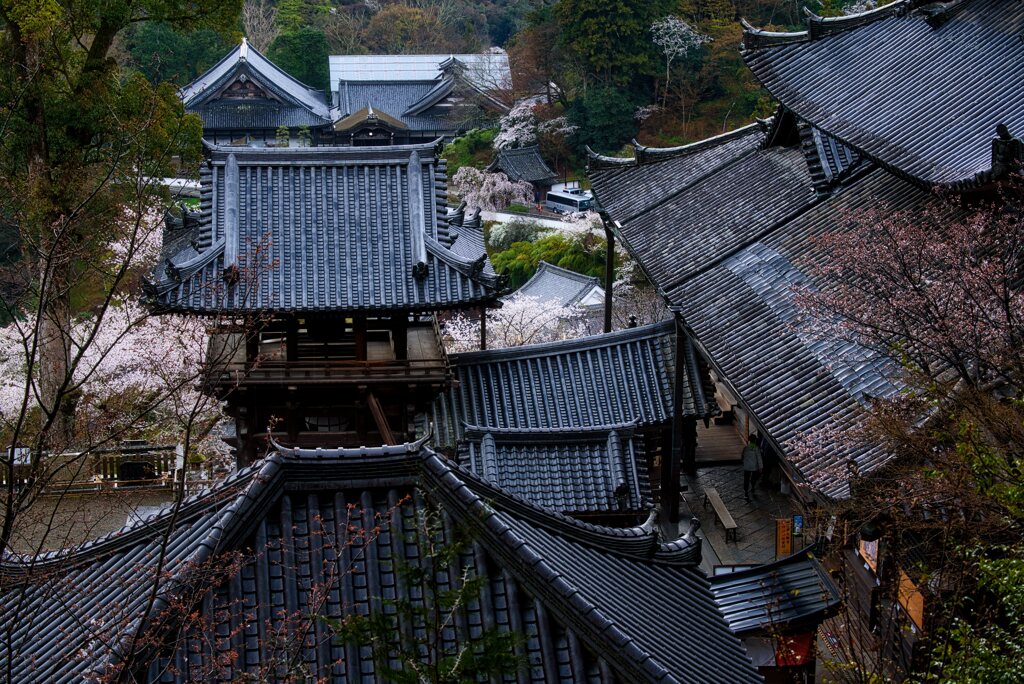 満開の花の御寺　弐