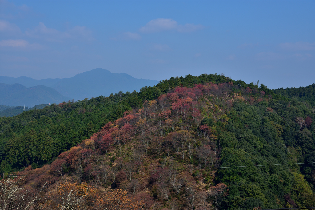 秋の吉野山②